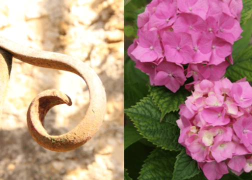gite de groupe en vendée