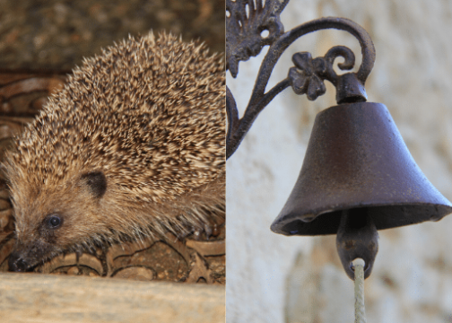 gite de groupe en vendée